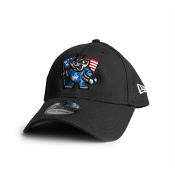 39-30 BLACK FLAG CAP