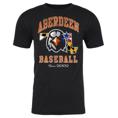 Aberdeen IronBirds State tee