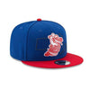 Lowell Spinners New Era Mass Outline 9Fifty Snap Back Cap