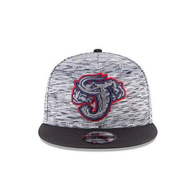 Jacksonville Jumbo Shrimp New Era Shadow Faded 9Fifty