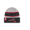 Richmond Flying Squirrels Knit Beanie