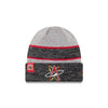 Albuquerque Isotopes Beanie-On-field