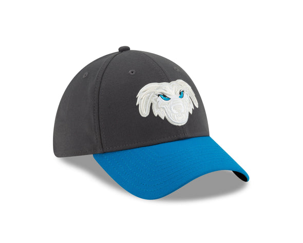 Lake Elsinore Storm Cadejos Flex Fit - Blue/Grey