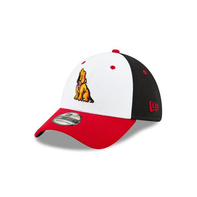 Richmond Flying Squirrels Richmond Hushpuppies NE 39Thirty Cap