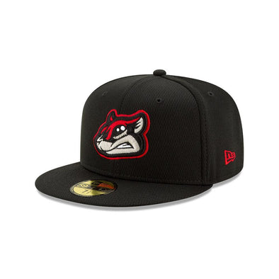 Richmond Flying Squirrels New Era BP Diamond Hat