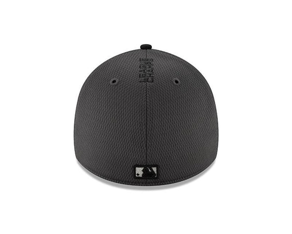 Washington Nationals National League Champions 39Thirty Cap