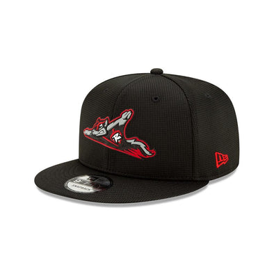 Richmond Flying Squirrels 9FIFTY Snapback Clubhouse Collection
