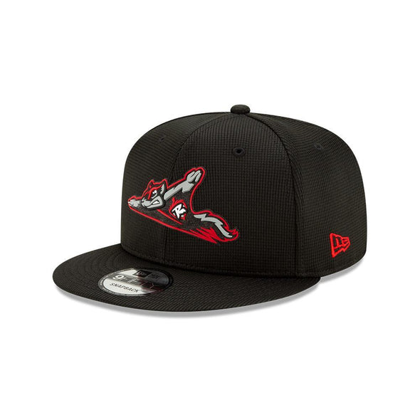 Richmond Flying Squirrels 9FIFTY Snapback Clubhouse Collection
