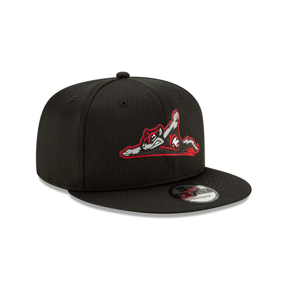 Richmond Flying Squirrels 9FIFTY Snapback Clubhouse Collection