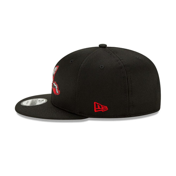 Richmond Flying Squirrels 9FIFTY Snapback Clubhouse Collection