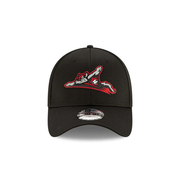 Richmond Flying Squirrels 39THIRTY Stretch Fit Clubhouse Collection