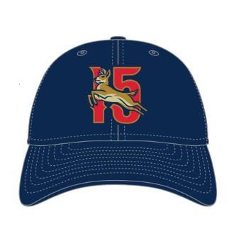 State College Spikes 15th Season Hat