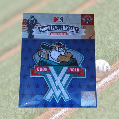 Tri-City ValleyCats 15th Anniversary Logo Patch