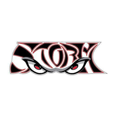 Lake Elsinore Storm Wordmark Logo PVC Magnet