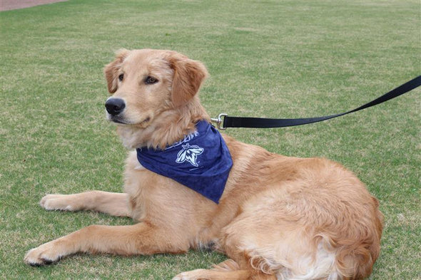 Columbia Fireflies Navy Dog Bandana