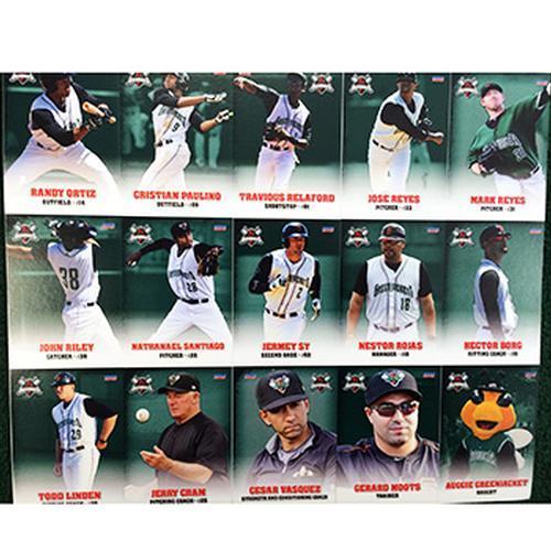 Augusta GreenJackets 2015 Team Card Set