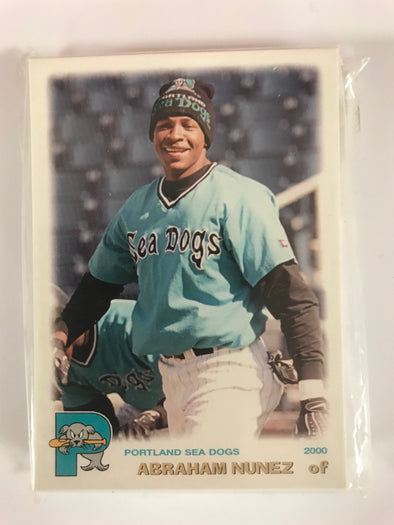 2000 Portland Sea Dogs Team Card Set