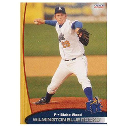 Wilmington Blue Rocks 2008 Team Set