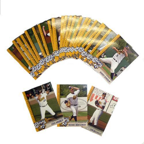 Burlington Bees 2009 Burlington Bees Team Set