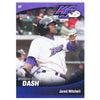 Winston-Salem Dash 2011 Dash Team Set