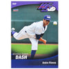 Winston-Salem Dash 2011 Dash Team Set