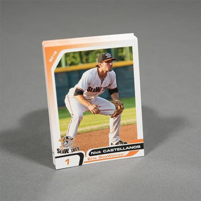 Erie SeaWolves 2012 Erie SeaWolves Team Set