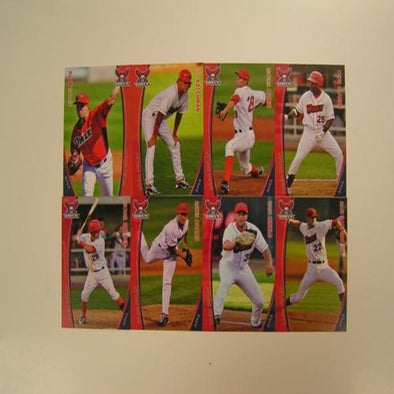 Orem Owlz 2012 Owlz Team Card Set