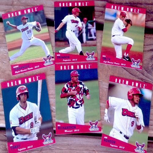 Orem Owlz 2013 Owlz Team Card Set