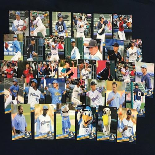 MYRTLE BEACH PELICANS 2014 MYRTLE BEACH PELICANS TEAM SET