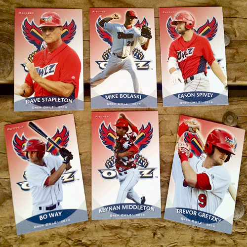 Orem Owlz 2014 Owlz Team Card Set