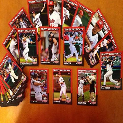 Tri-City ValleyCats 2014 Team Set