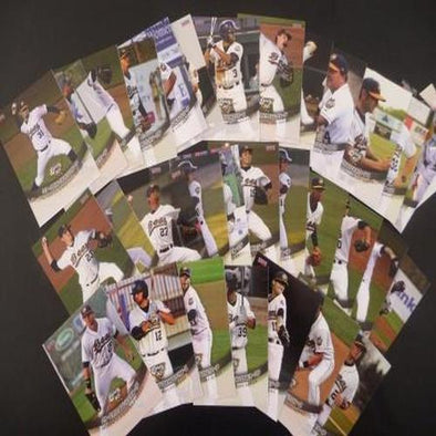 Burlington Bees 2014 Burlington Bees Team Set