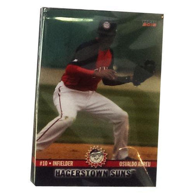 Hagerstown Suns 2015 Team Card Set