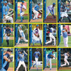 MYRTLE BEACH PELICANS 2015 MYRTLE BEACH PELICANS TEAM SET