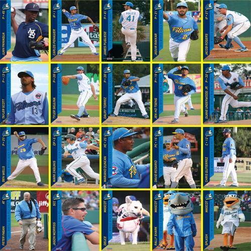 MYRTLE BEACH PELICANS 2015 MYRTLE BEACH PELICANS TEAM SET