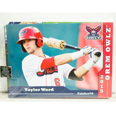 Orem Owlz 2015 Owlz Team Card Set