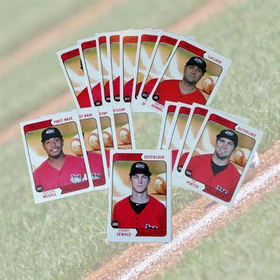 Tri-City ValleyCats 2015 ValleyCat Team Set