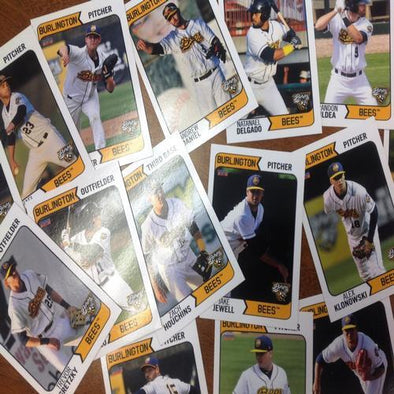 Burlington Bees 2015 Burlington Bees Team Set