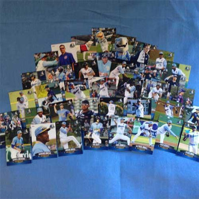 MYRTLE BEACH PELICANS 2016 MYRTLE BEACH PELICANS TEAM SET