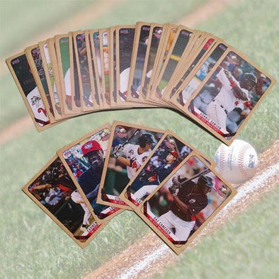 Tri-City ValleyCats 2016 Tri-City ValleyCats Team Set