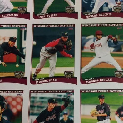 Wisconsin Timber Rattlers 2016 Team Set