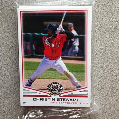 Erie SeaWolves 2017 Erie SeaWolves Team Set
