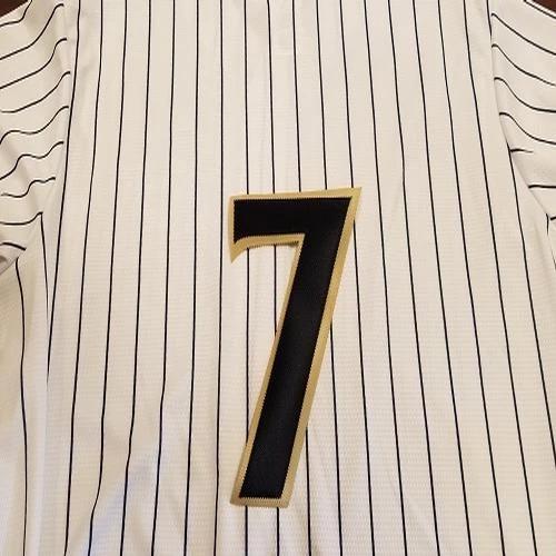 Scranton/Wilkes-Barre RailRiders Adult Gleyber Torres Replica RailRiders Jersey