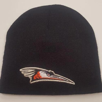 Delmarva Shorebirds Beanie with Primary logo