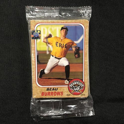 Erie SeaWolves 2018 Erie SeaWolves Team Set