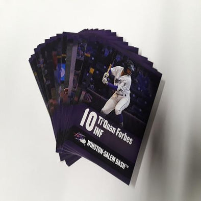 Winston-Salem Dash 2018 Team Set Card
