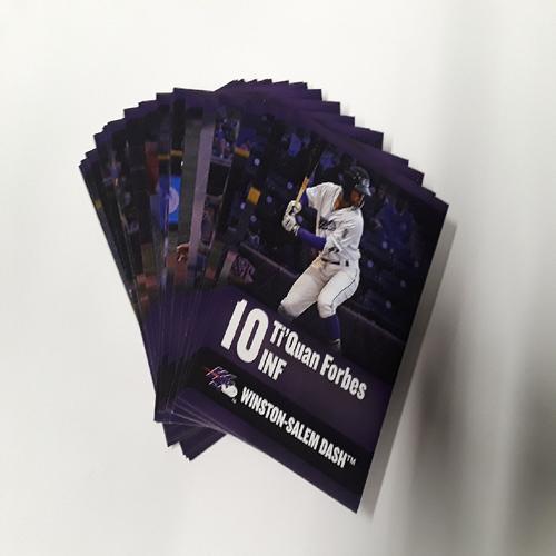 Winston-Salem Dash 2018 Team Set Card