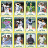 DAYTONA TORTUGAS 2019 TEAM SET