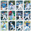 MYRTLE BEACH PELICANS 2019 MYRTLE BEACH PELICANS TEAM SET