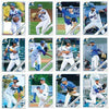 MYRTLE BEACH PELICANS 2019 MYRTLE BEACH PELICANS TEAM SET